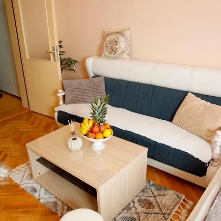 Dunja Vrnjačka Banja